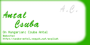 antal csuba business card